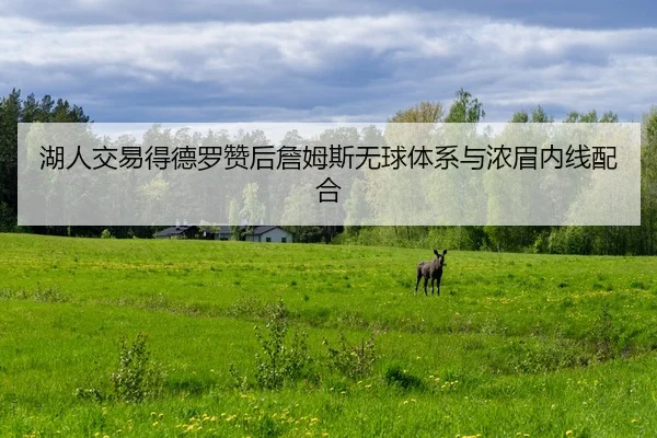 湖人交易得德罗赞后詹姆斯无球体系与浓眉内线配合
